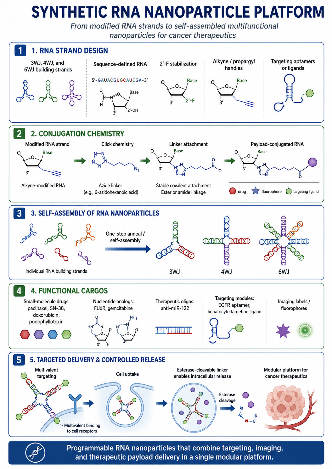 RNA Nanoparticle Platform Overview